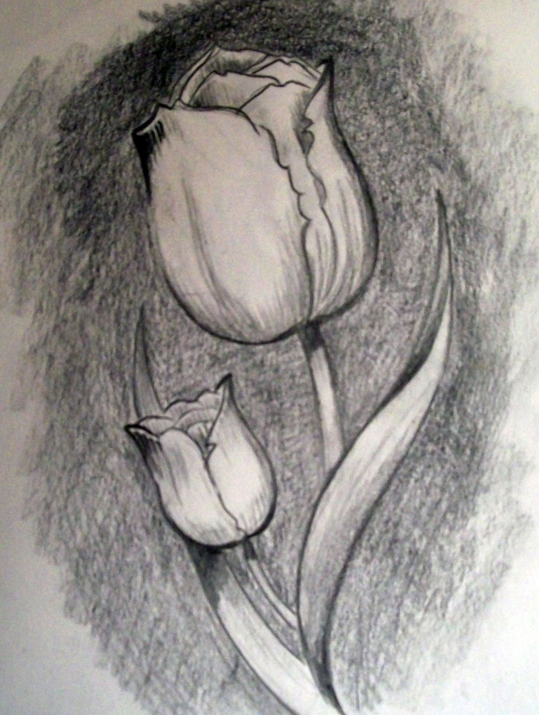 Elena Savina. Tulips