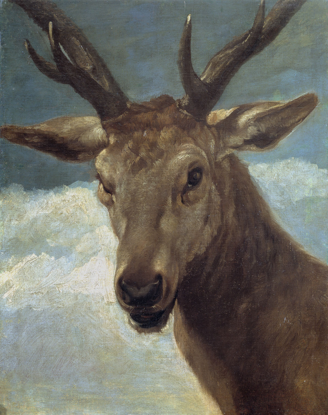 Diego Velazquez. Deer head