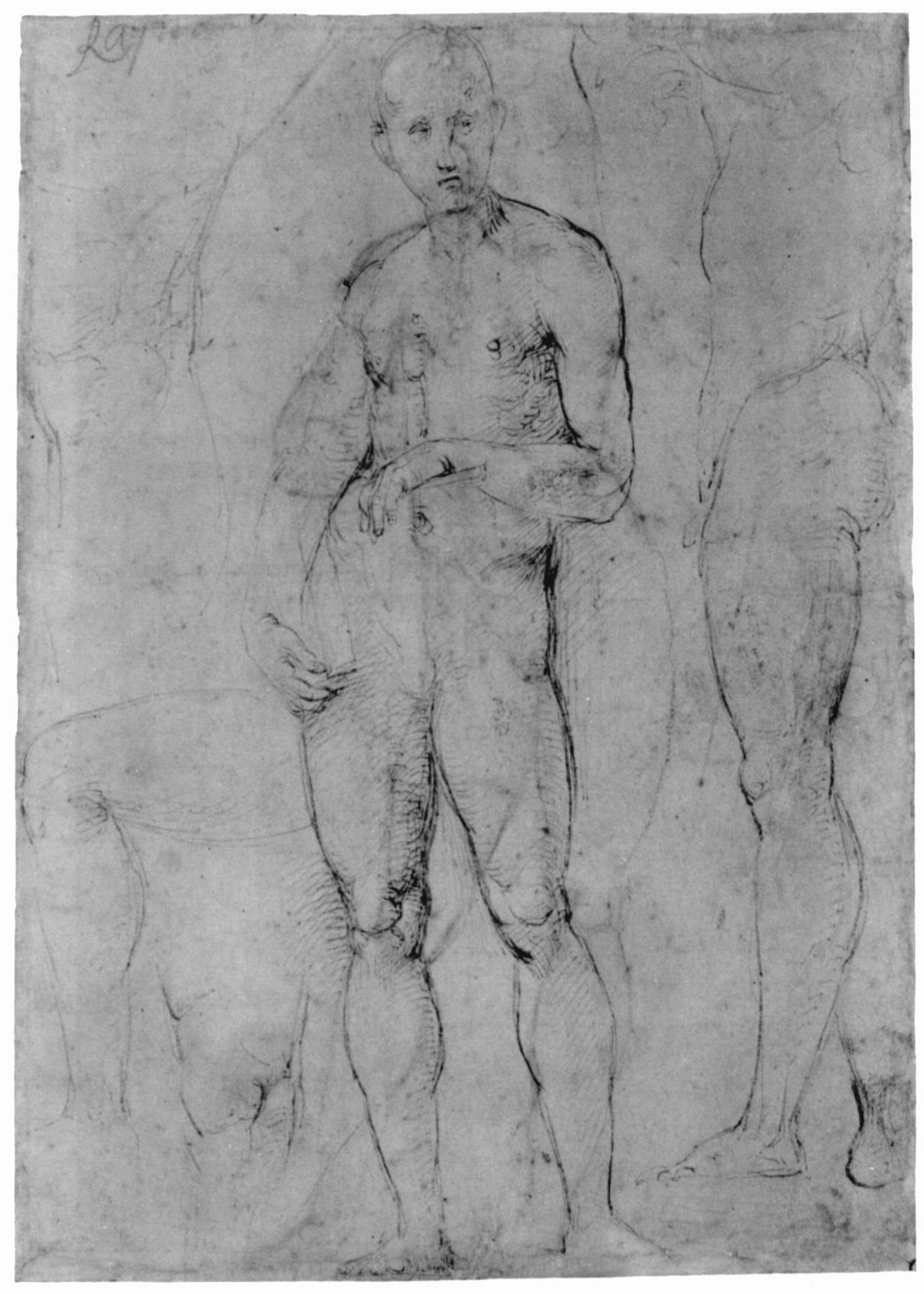 Naked Male Figure Modle