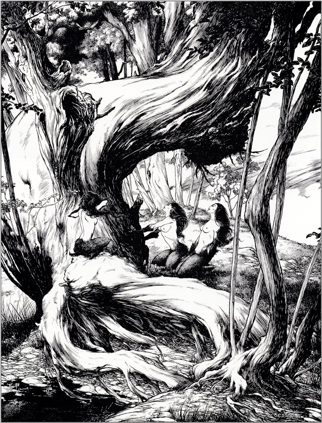 Charles Vess. Song Of The Dryads