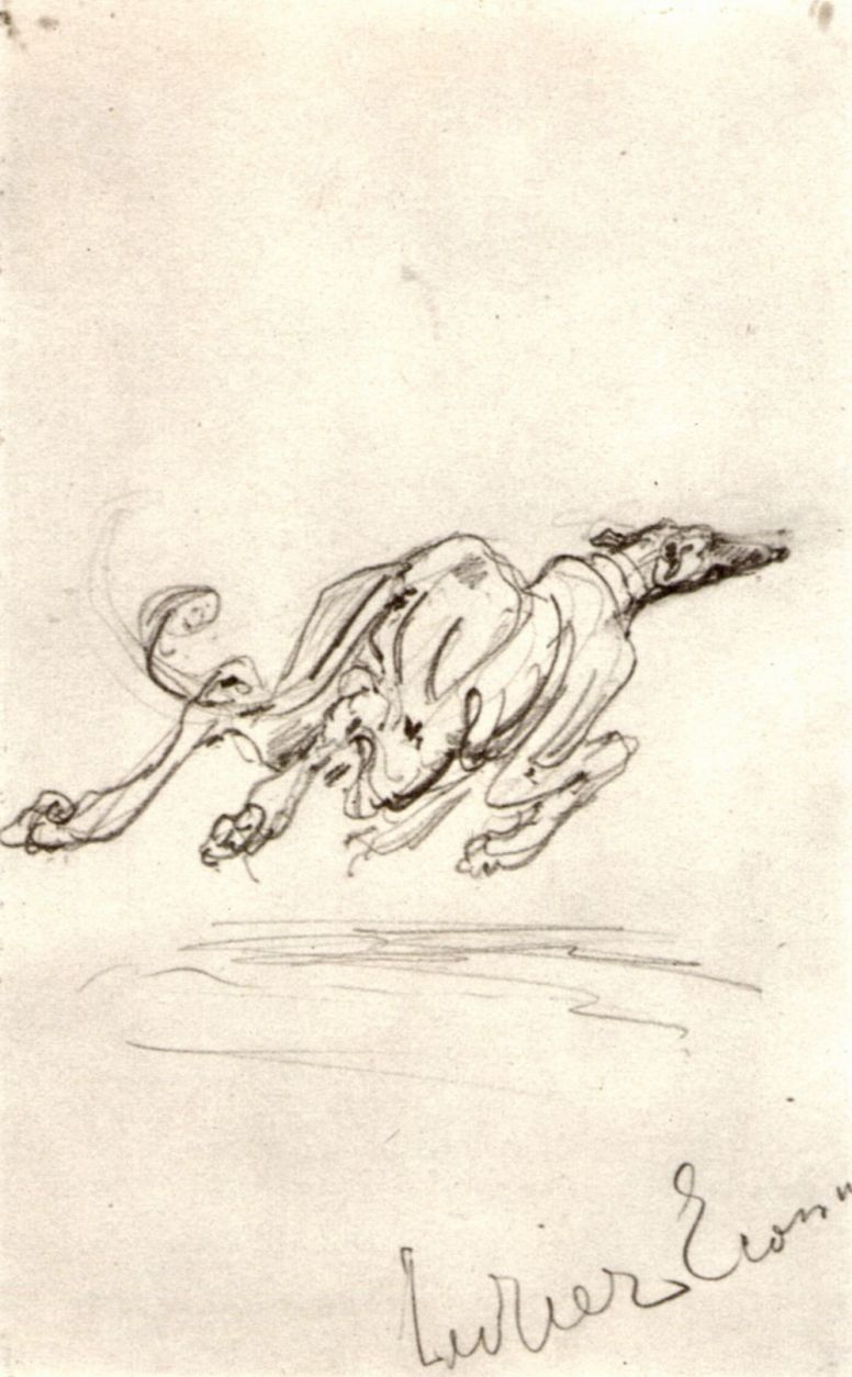 Henri de Toulouse-Lautrec. Schottisches Windspiel