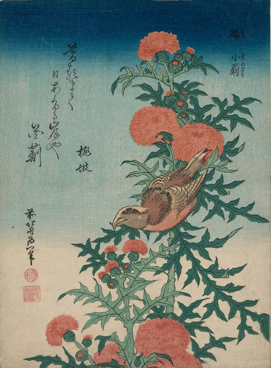 Katsushika Hokusai. Crossbill And Thistle