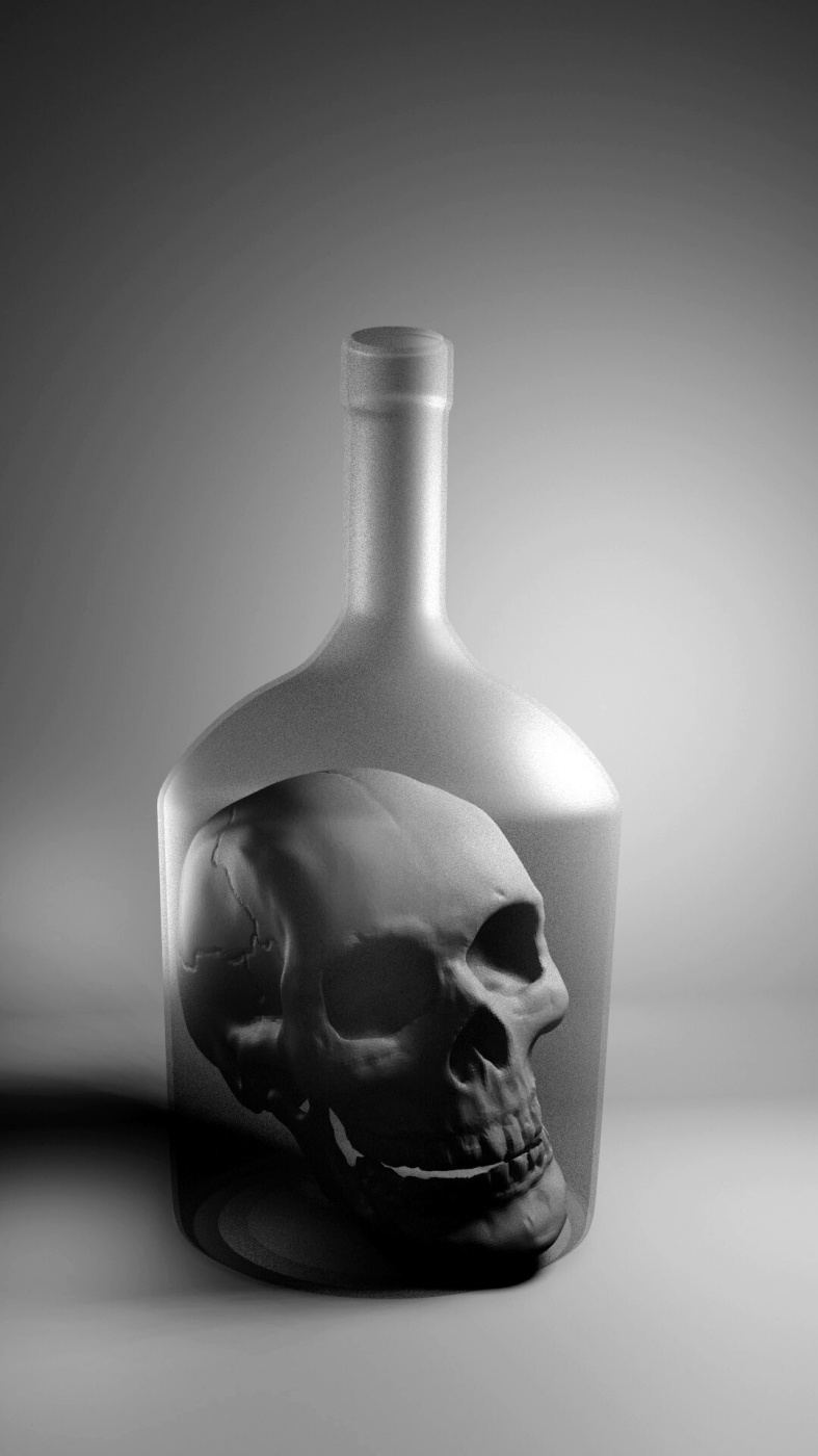 Husef Artigasv. 3D Skull in a Bottle NOIR