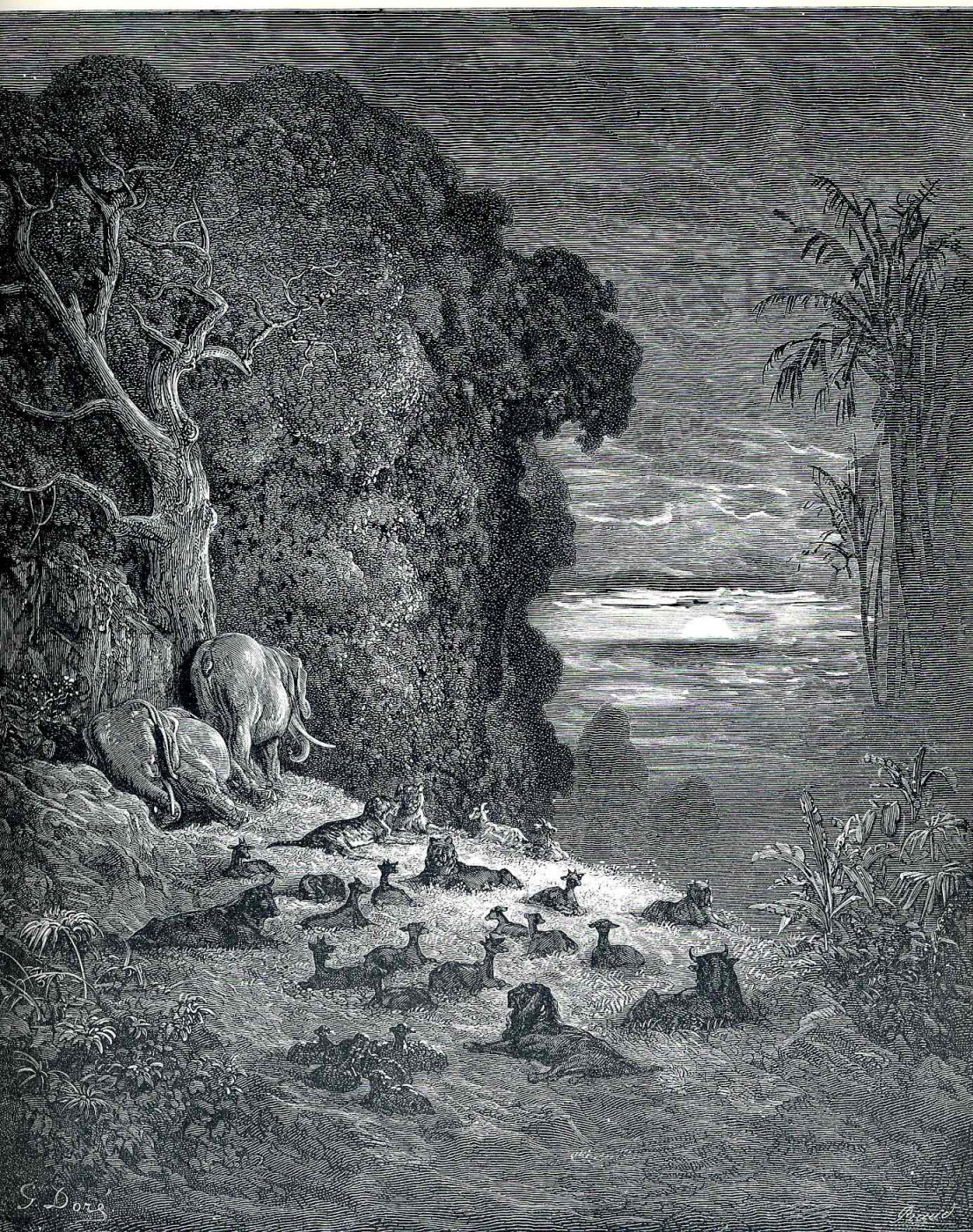 Paul Gustave Dore. Paradise