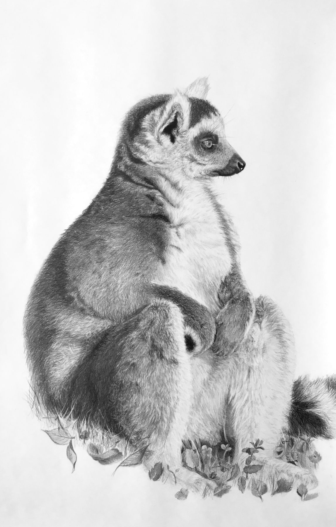 Edward Potashev. Lemur
