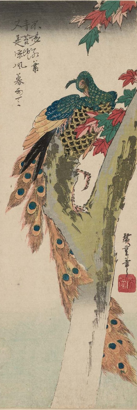 Utagawa Hiroshige. Peacock and maple. Series "Birds and flowers"
