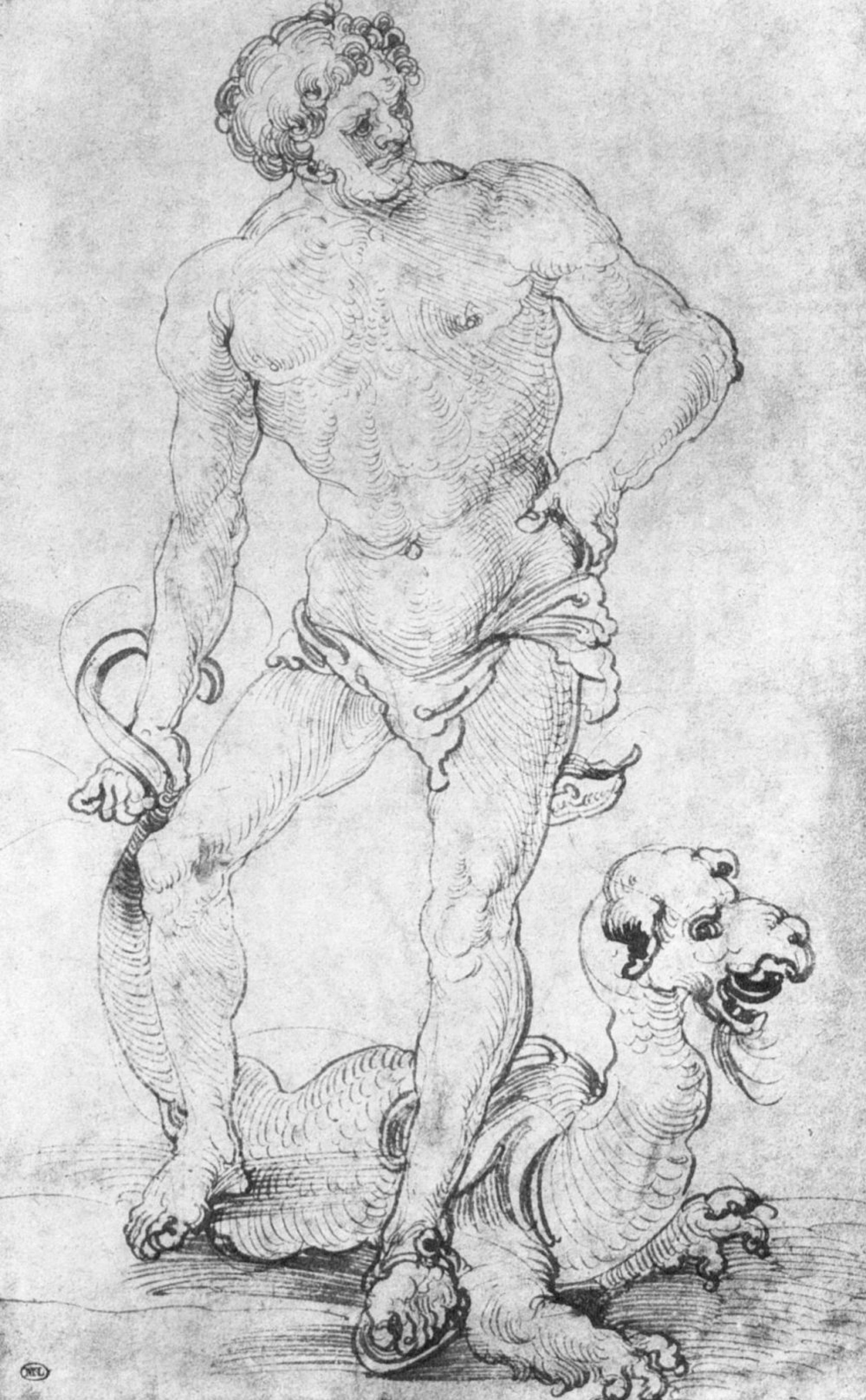 Naked Men Dragon Drawings