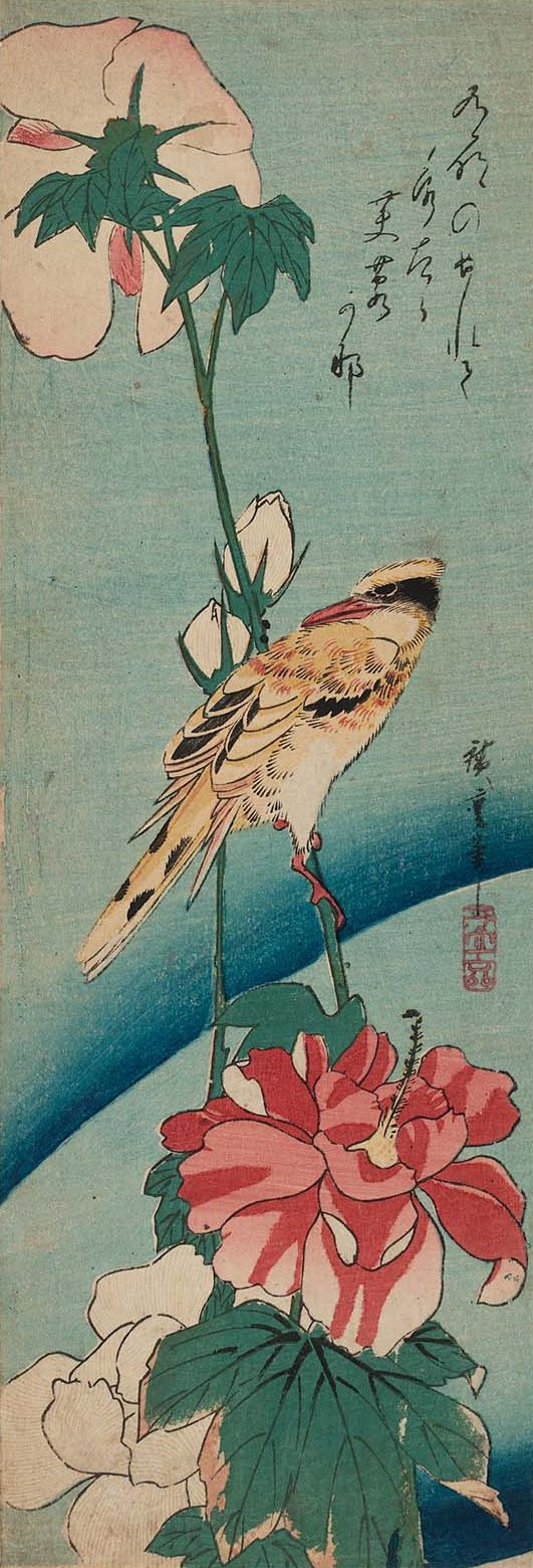 Utagawa Hiroshige. Black-headed Oriole and a hibiscus flower. Series "Birds and flowers"