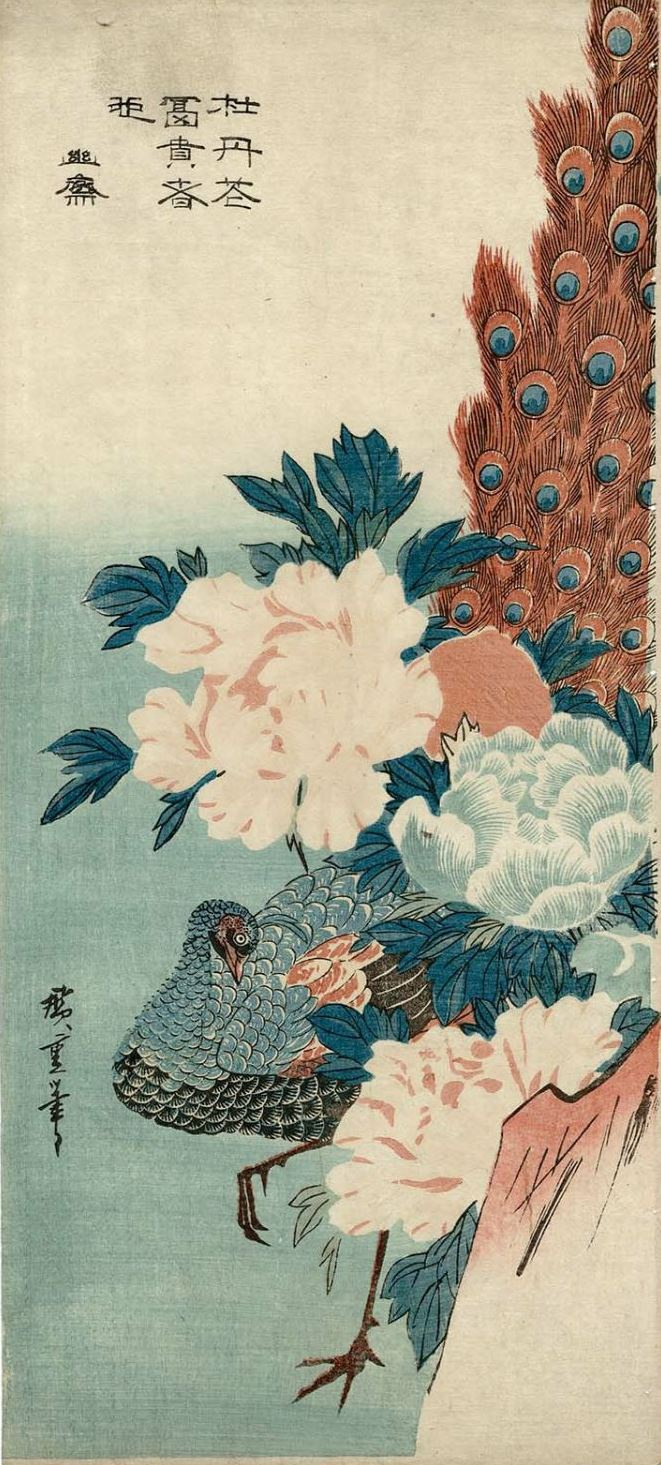 Utagawa Hiroshige. Peacock hiding behind a rock and flowering peonies
