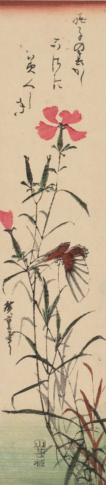 Utagawa Hiroshige. Butterfly and pink carnation