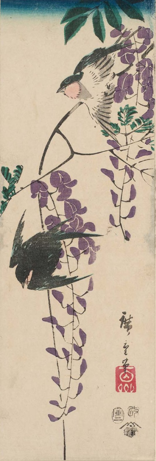 Utagawa Hiroshige. A couple of swallows and Wisteria. Series "Birds and flowers"