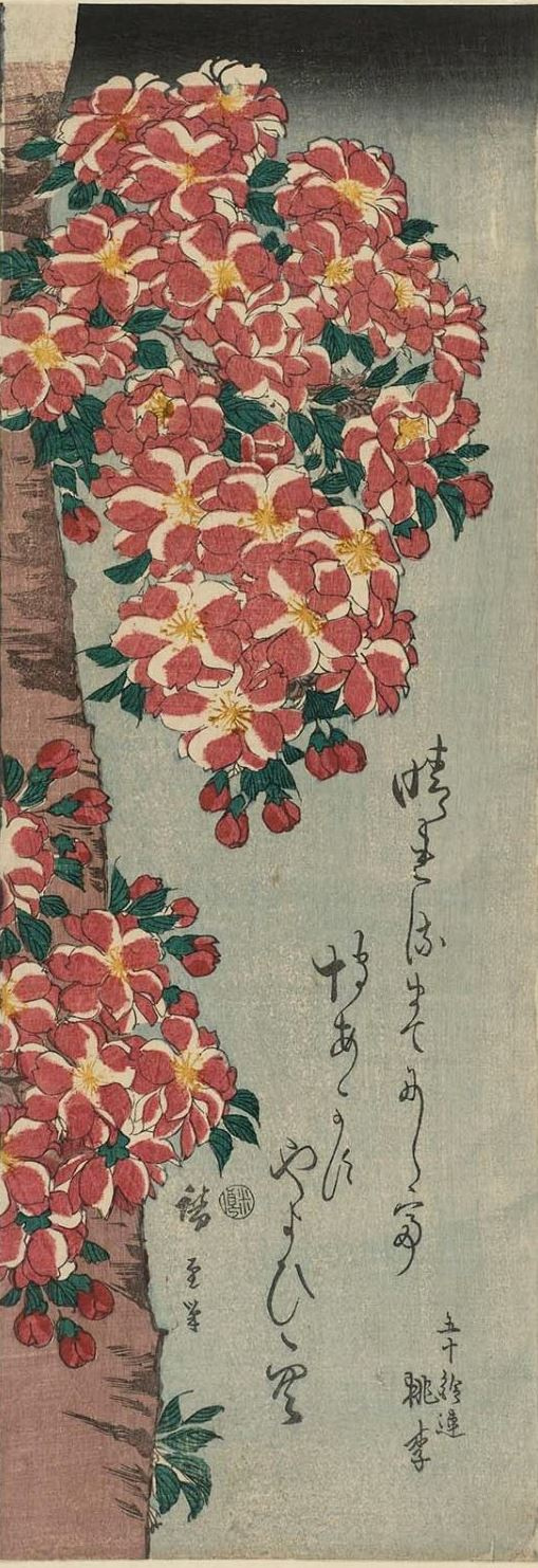 Utagawa Hiroshige. Cherry blossoms