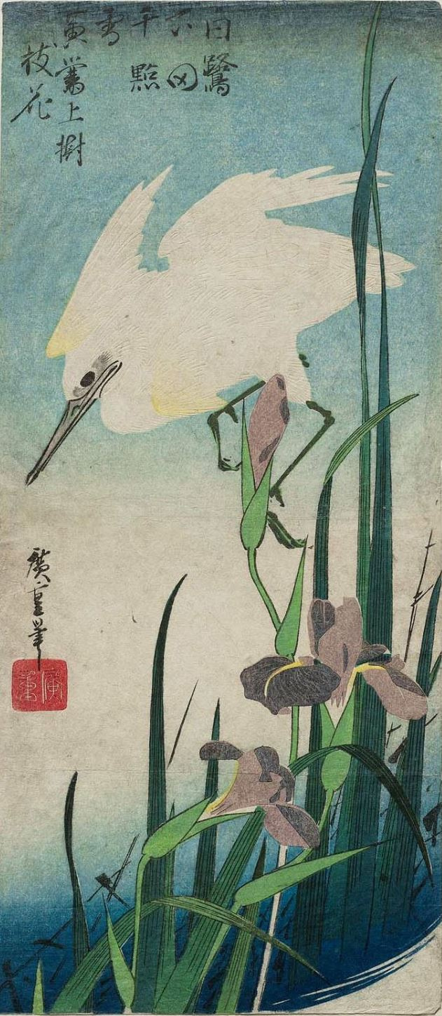 Utagawa Hiroshige. White Heron and irises. Series "Birds and flowers"