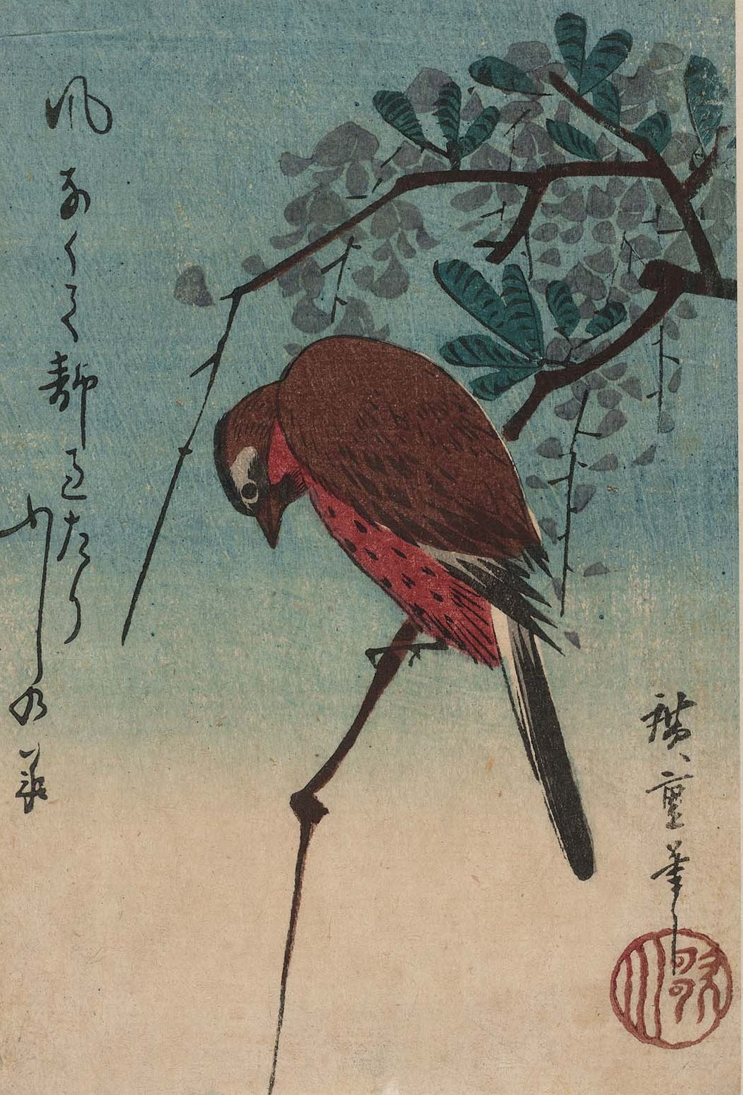 Utagawa Hiroshige. Bird on a branch of Wisteria