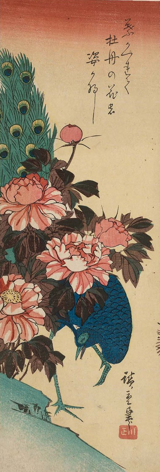 Utagawa Hiroshige. Peacock on the slope and peonies. Series "Birds and flowers"