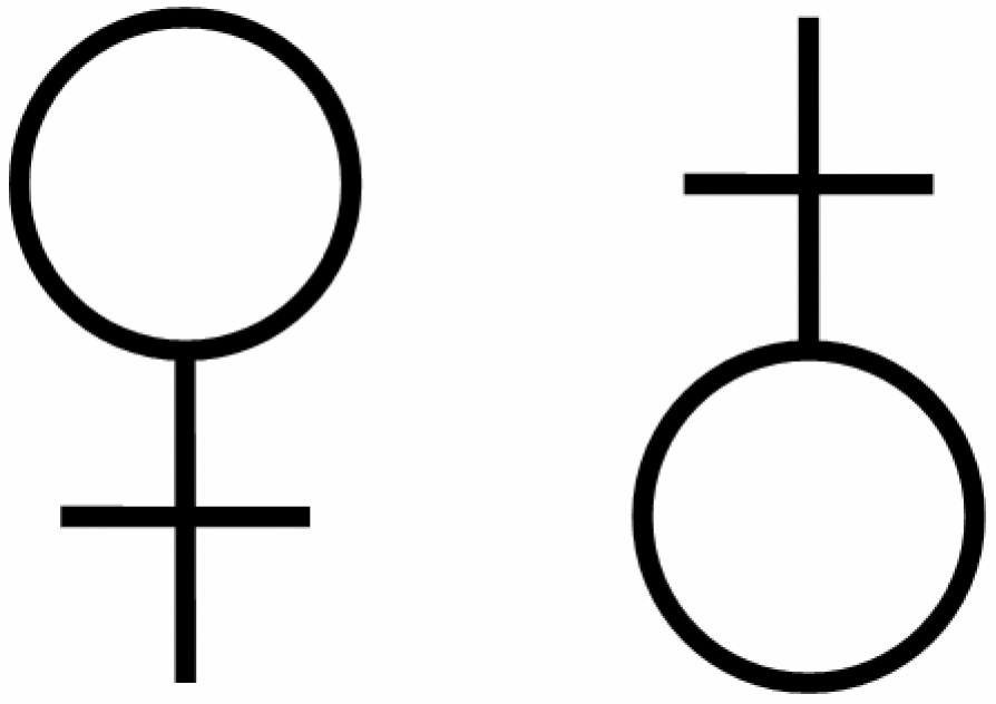 Символ снизу. Зеркало Венеры символ. Женский знак.