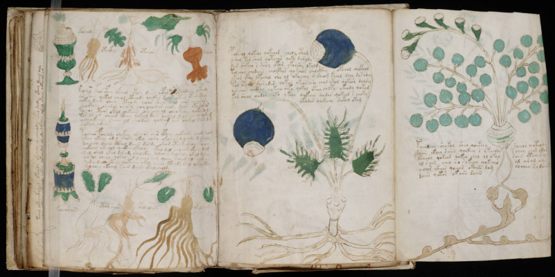 A page from the Voynich Manuscript. Photo courtesy of Yale University’s Beinecke Rare Book and Manus A page from the Voynich Manuscript. Photo courtesy of Yale University’s Beinecke Rare Book and Manus