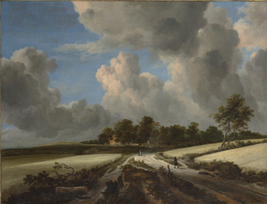 Jakob van Isaacs Ruisdael. Wheat fields