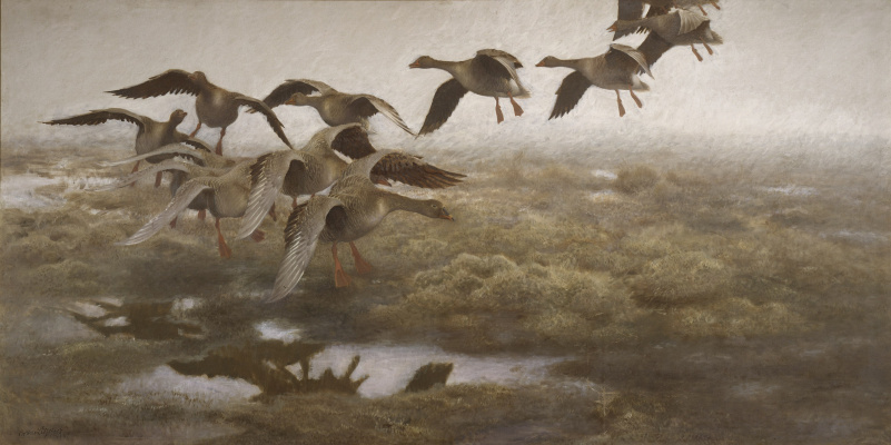 Bruno Liljefors. The wild geese