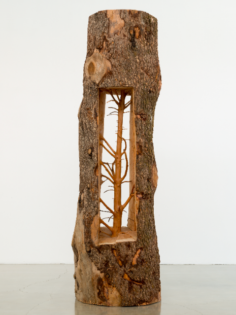 Door Tree — Cedar. Giuseppe Penone. 2012 Door Tree — Cedar. Giuseppe Penone. 2012