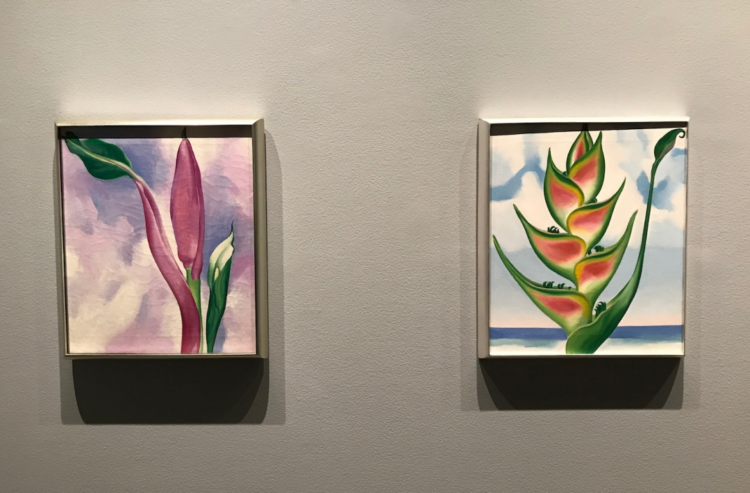 Georgia O’Keeffe, "Pink Ornamental Banana" and "Heliconia" (both 1939) Georgia O’Keeffe, "Pink Ornamental Banana" and "Heliconia" (both 1939)