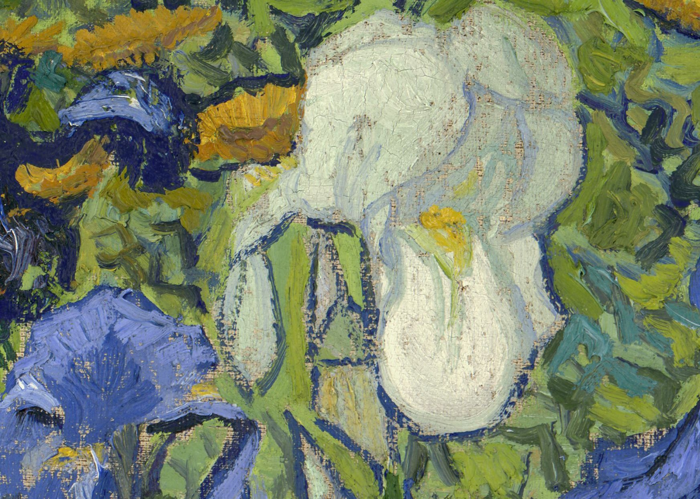 Don't Feel Sorry for Vincent van Gogh, by Courtney Abruzzo