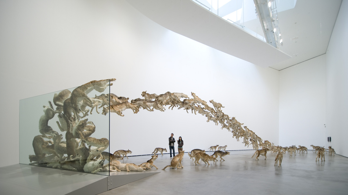 "Head On" (2006) is the world-famous installation by Cai Guo-Qiang. It was first presented at the So "Head On" (2006) is the world-famous installation by Cai Guo-Qiang. It was first presented at the So