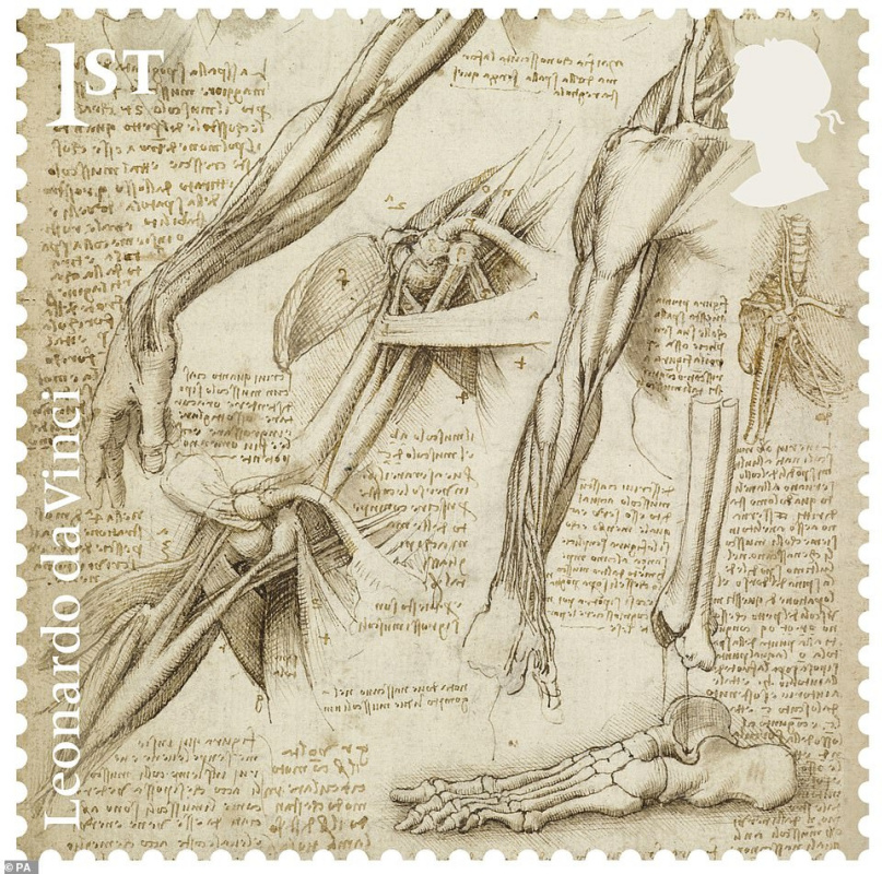 Леонардо да Винчи также изучал анатомию человеческого тела. Подробные рисунки дают представление о н