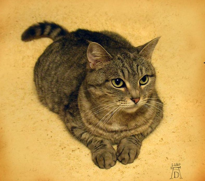 Art fakes that you probably came across on the Internet Art fakes that you probably came across on the Internet