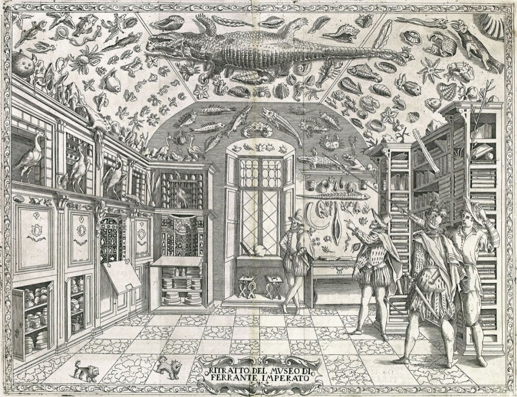 Гравюра из книги «Dell'historia natural» Ферранте Императо. Источник: Wikimedia Commons Гравюра из книги «Dell'historia natural» Ферранте Императо. Источник: Wikimedia Commons