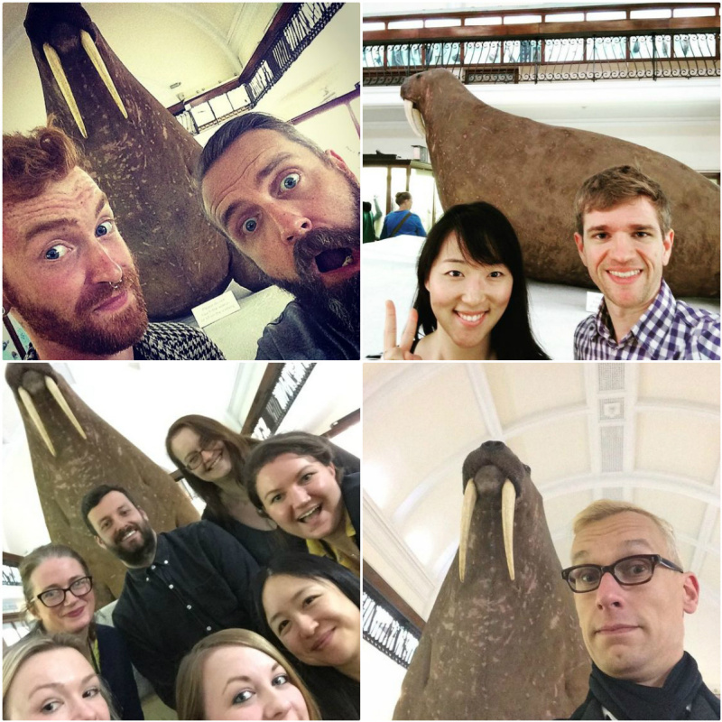 Коллаж фото со страницы Музея Хорнимана «Selfies with the Walrus» в сети Pinterest. Коллаж фото со страницы Музея Хорнимана «Selfies with the Walrus» в сети Pinterest.