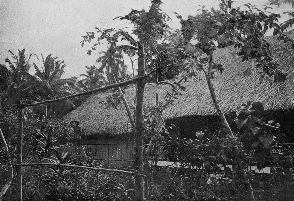 Unique photographs of Gauguin in Tahiti discovered Unique photographs of Gauguin in Tahiti discovered