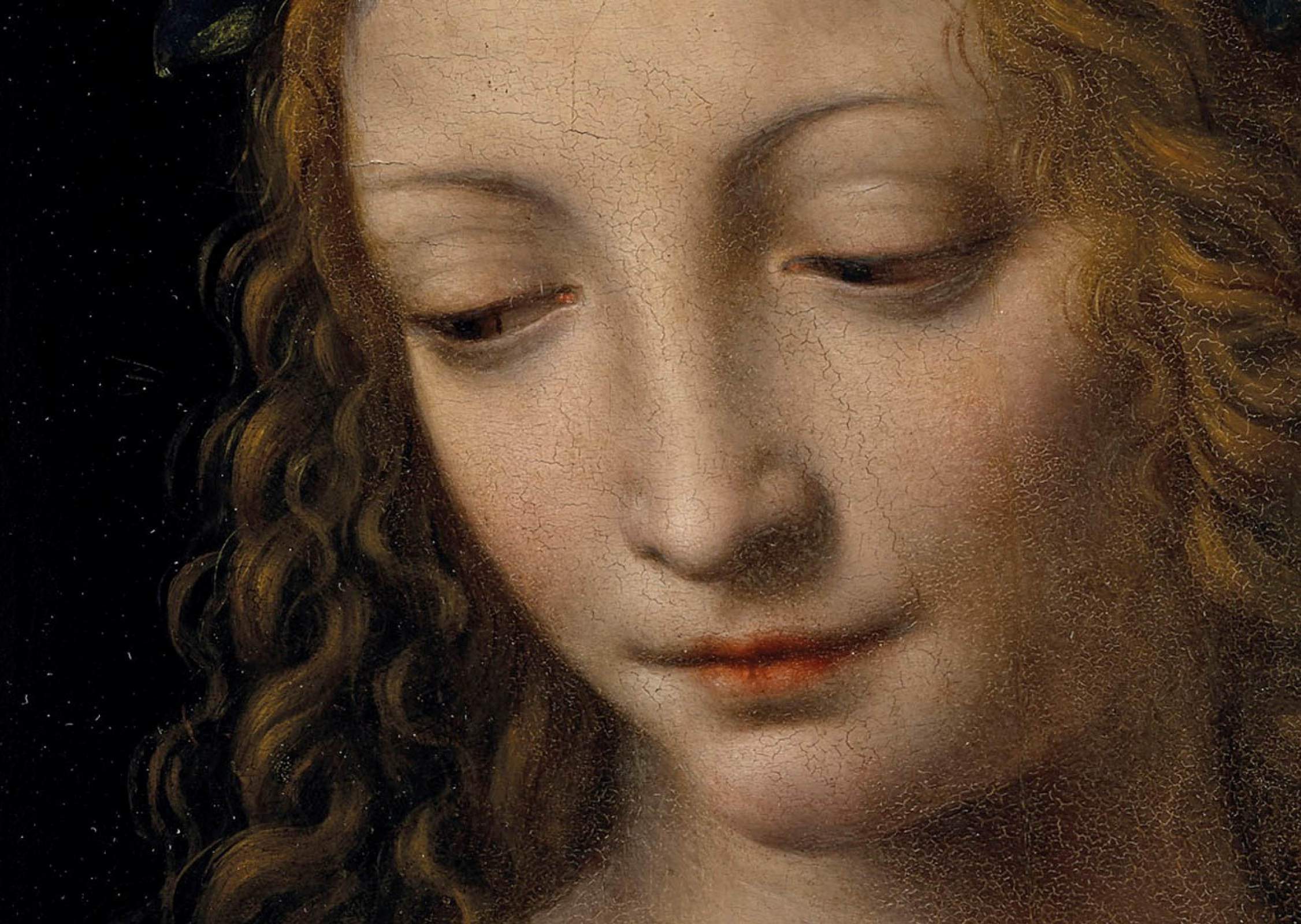 Leonardo da vinci paintings. Бернардино Луини Магдалина. Мона Лиза Бернардино Луини. Бернардино Луини Саломея. Картины Леонардо Давинчи.