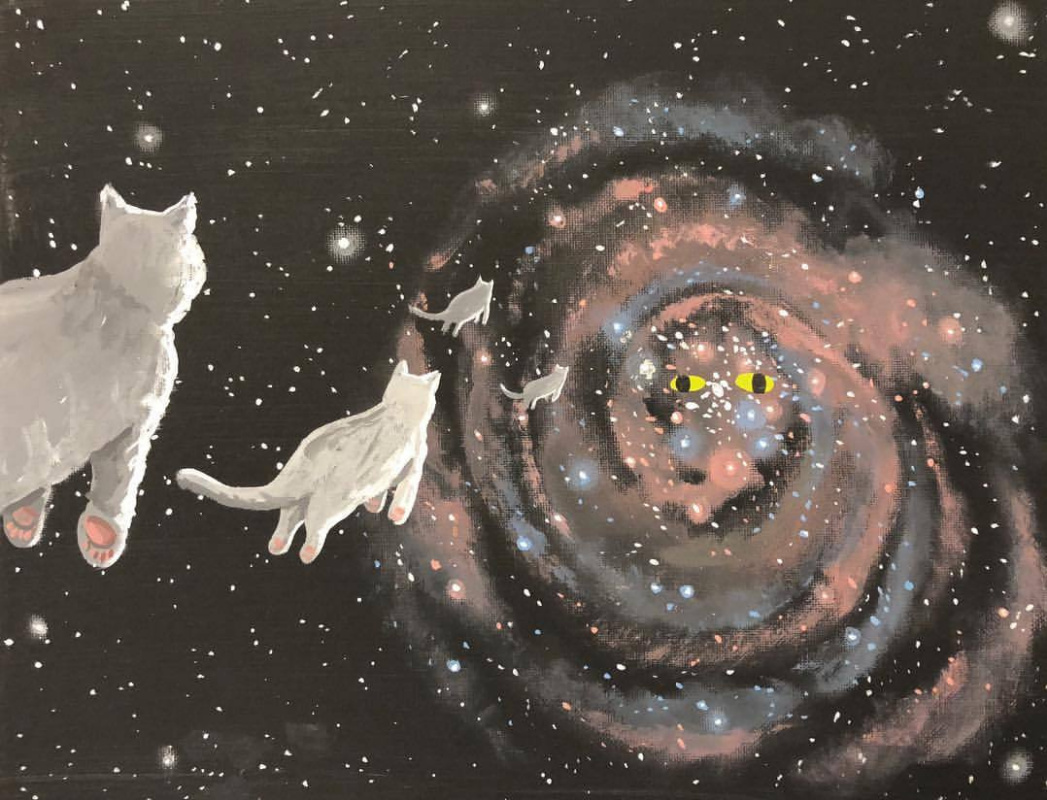 Кошка летала в космос