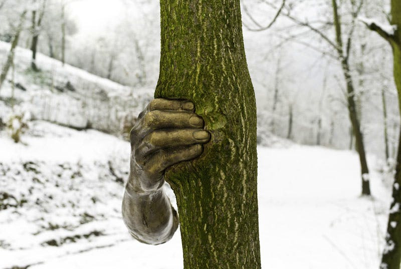 17 years of growth (It will continue to grow except at that point). Giuseppe Penone. 1968−1985 17 years of growth (It will continue to grow except at that point). Giuseppe Penone. 1968−1985