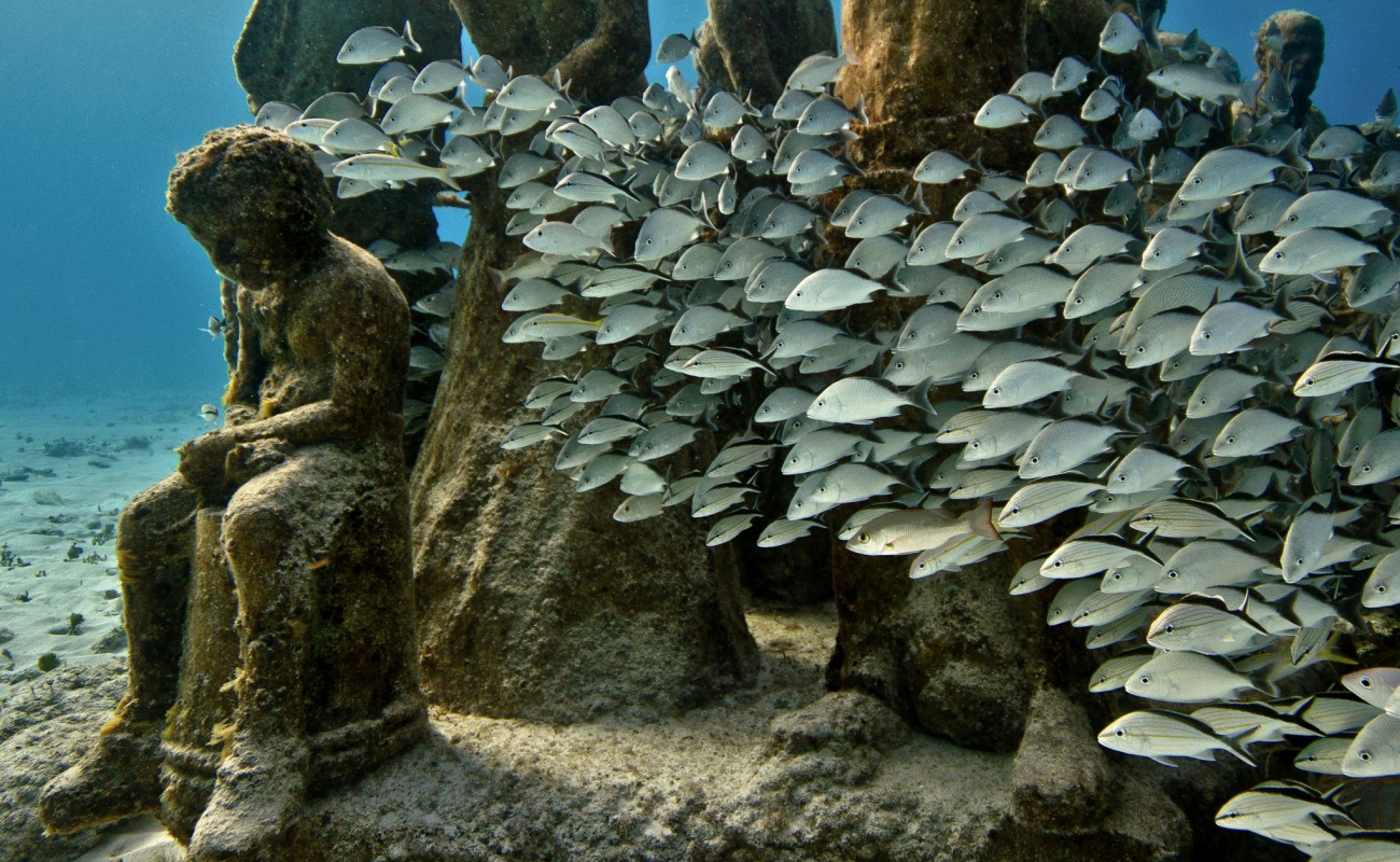 Фото: www.underwatersculpture.com Фото: www.underwatersculpture.com