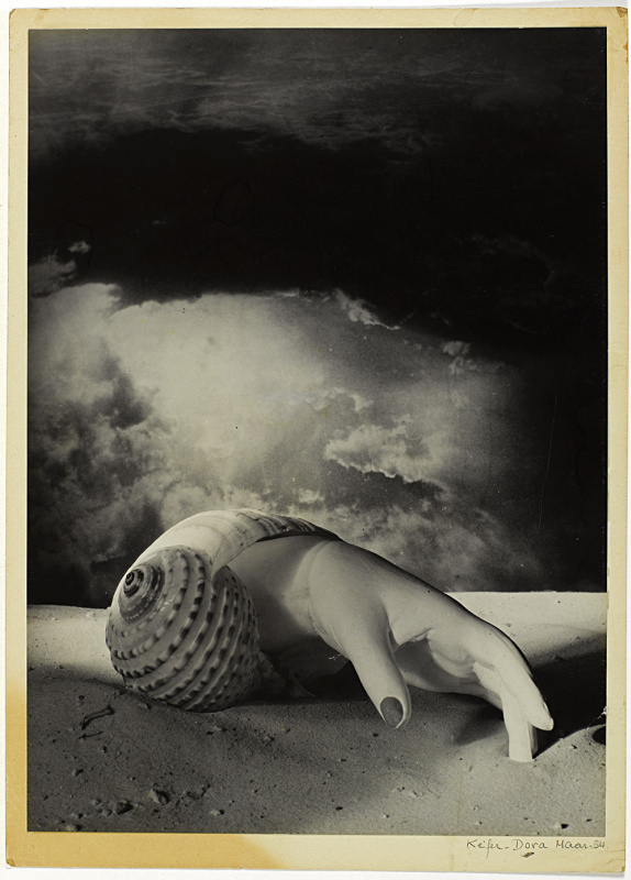 Дора Маар. «Без названия (Рука - ракушка)». 1934. Серебряно - желатиновый отпечаток. 
Фото: Centre P