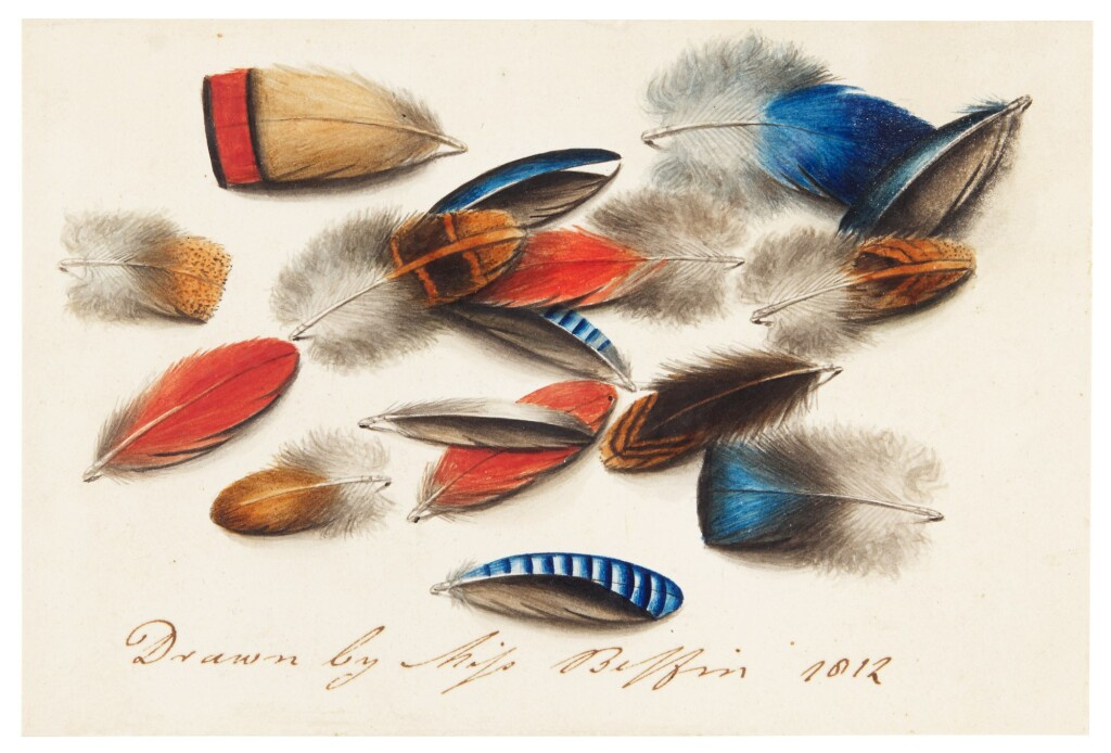 Сара Биффин, «Этюд с перьями» (1812). Акварель продана за 65 тысяч 520 фунтов стерлингов при эстимей Сара Биффин, «Этюд с перьями» (1812). Акварель продана за 65 тысяч 520 фунтов стерлингов при эстимей