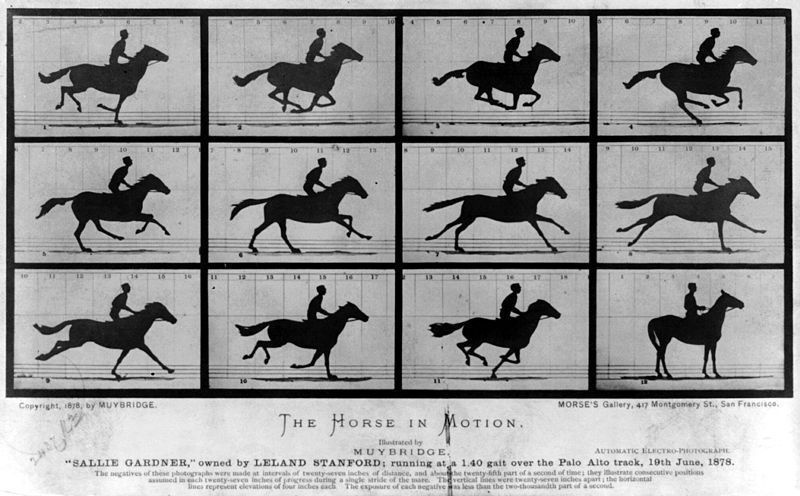 Edgar Degas bought the book Animals in Motion by the American photographer Eadweard Muybridge as soo