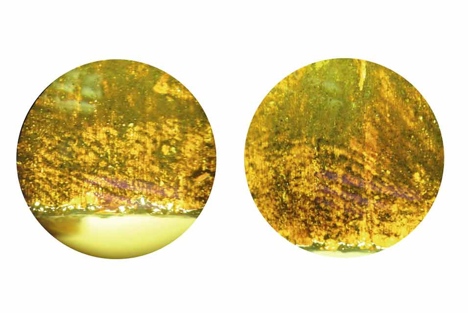 Отпечатки пальцев, найденные на нижнем крае картины Рембрандта. Фото: Sotheby’s Отпечатки пальцев, найденные на нижнем крае картины Рембрандта. Фото: Sotheby’s