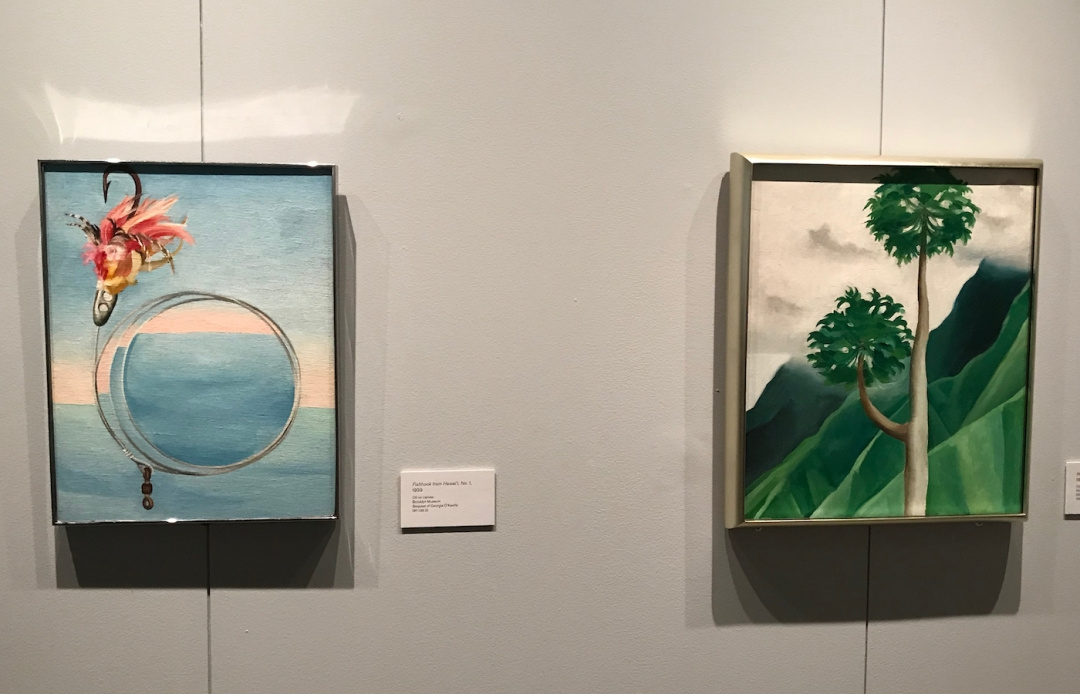 Georgia O’Keeffe, "Fishhook from Hawai’i No. 1" and "Papaya Tree" (both 1939) Georgia O’Keeffe, "Fishhook from Hawai’i No. 1" and "Papaya Tree" (both 1939)