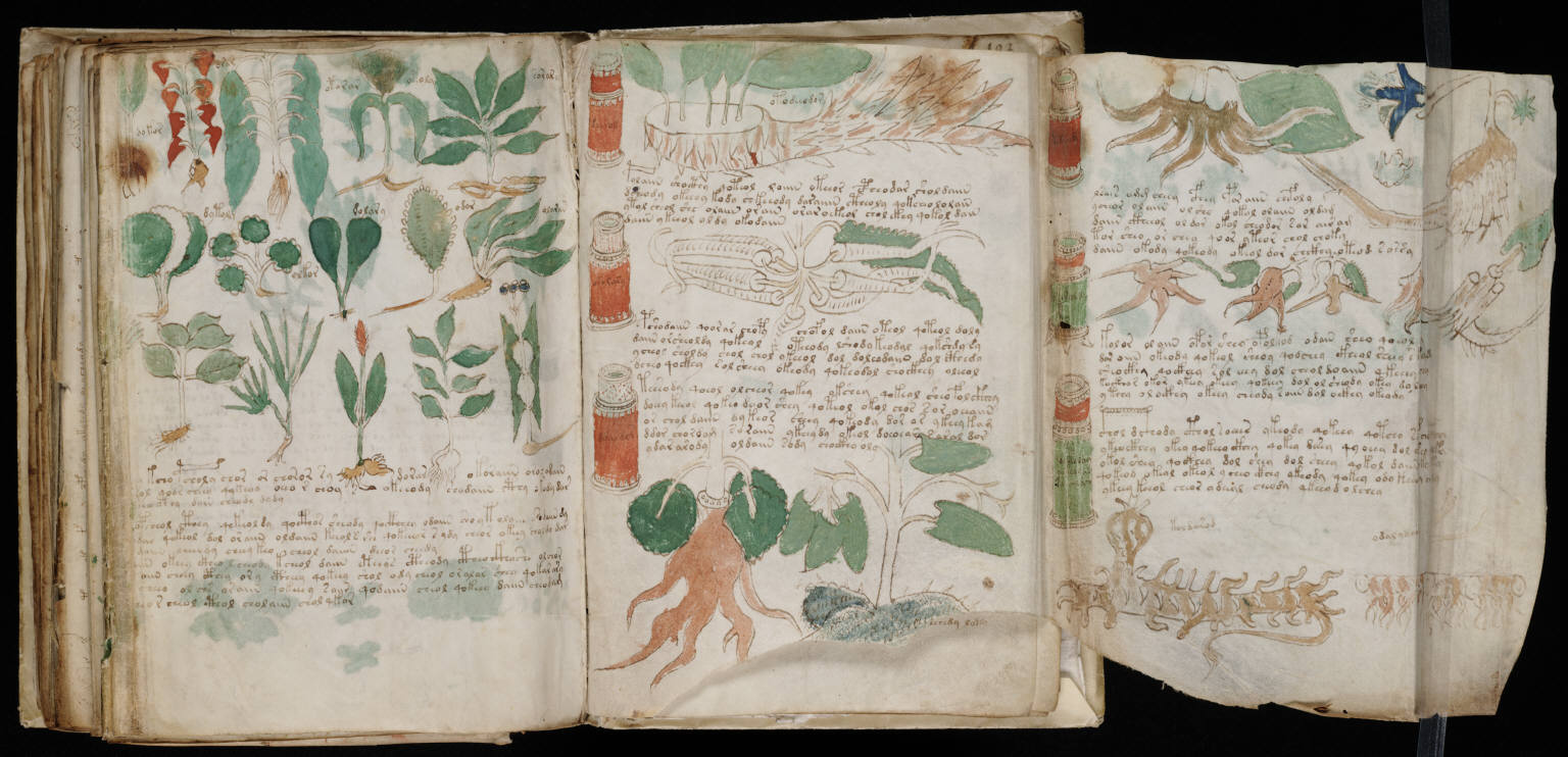 Canadian computing scientists deciphered secret language of the 600-year-old Voynich Manuscript Canadian computing scientists deciphered secret language of the 600-year-old Voynich Manuscript