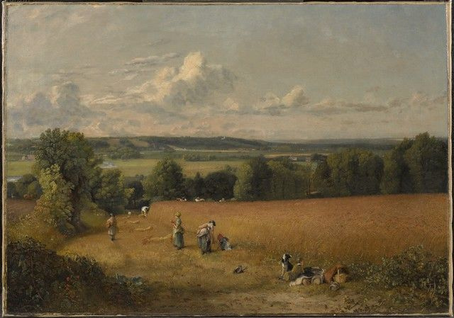 «Пшеничное поле» Джона Констебла (1815) в экспозиции музея — из коллекции Джона и Алисы Стейнер «Пшеничное поле» Джона Констебла (1815) в экспозиции музея — из коллекции Джона и Алисы Стейнер