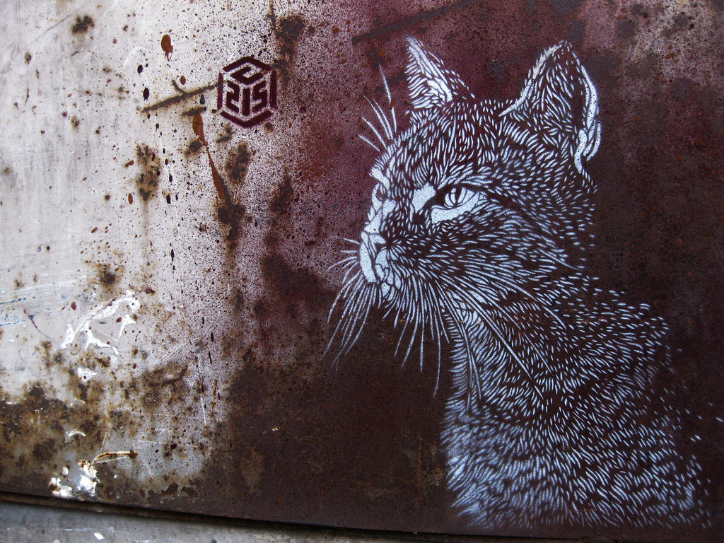 Christian Guémy, known worldwide as C215, "exposes" his art on the walls of houses in disadvantaged 