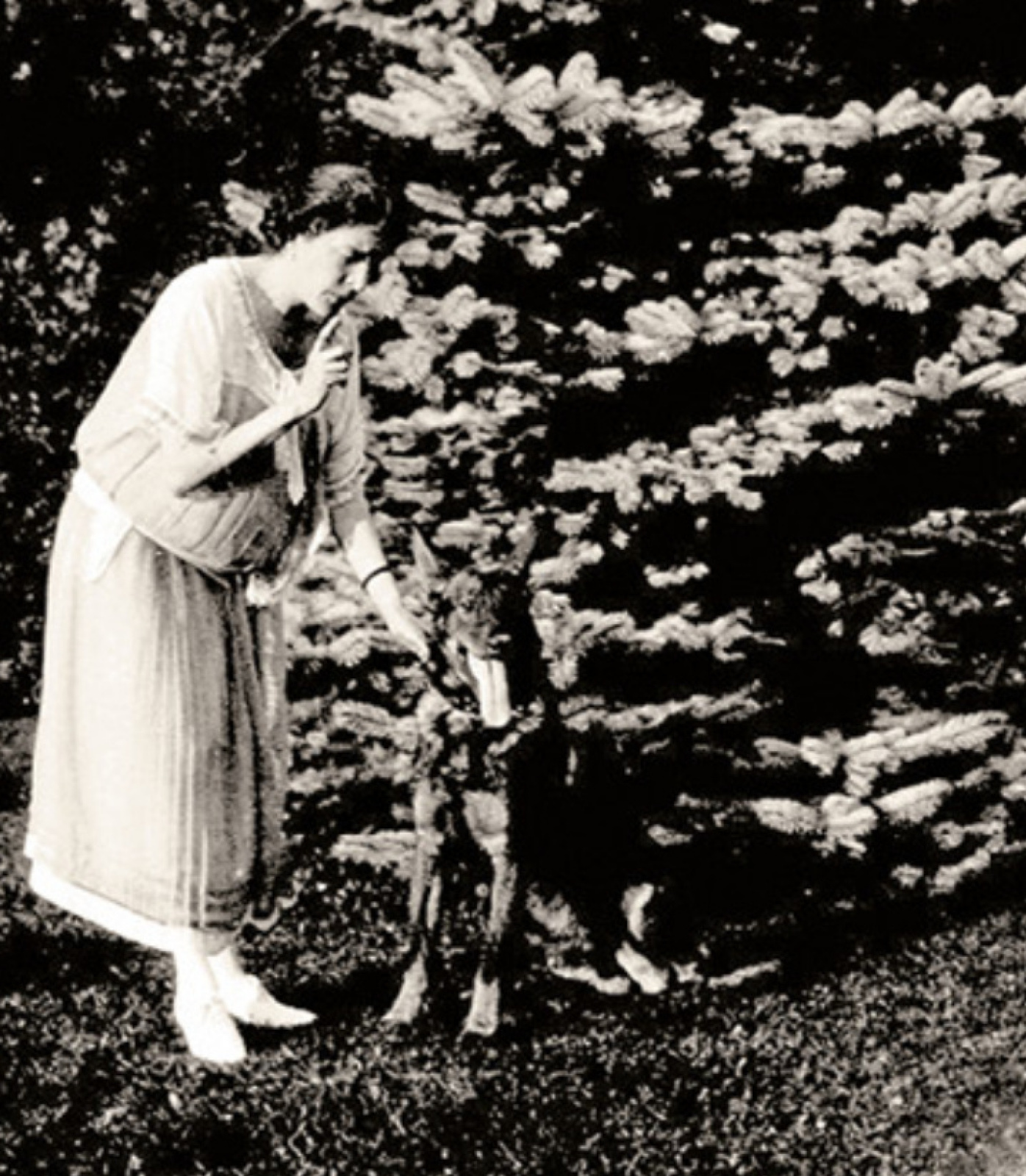 Adele Bloch-Bauer, 1920
Photo source: wikimedia
