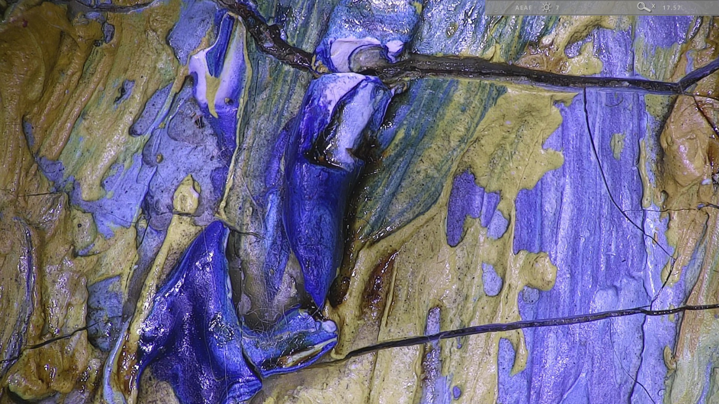 Трещины на красочном слое картины "Красные виноградники в Арле". Источник фото