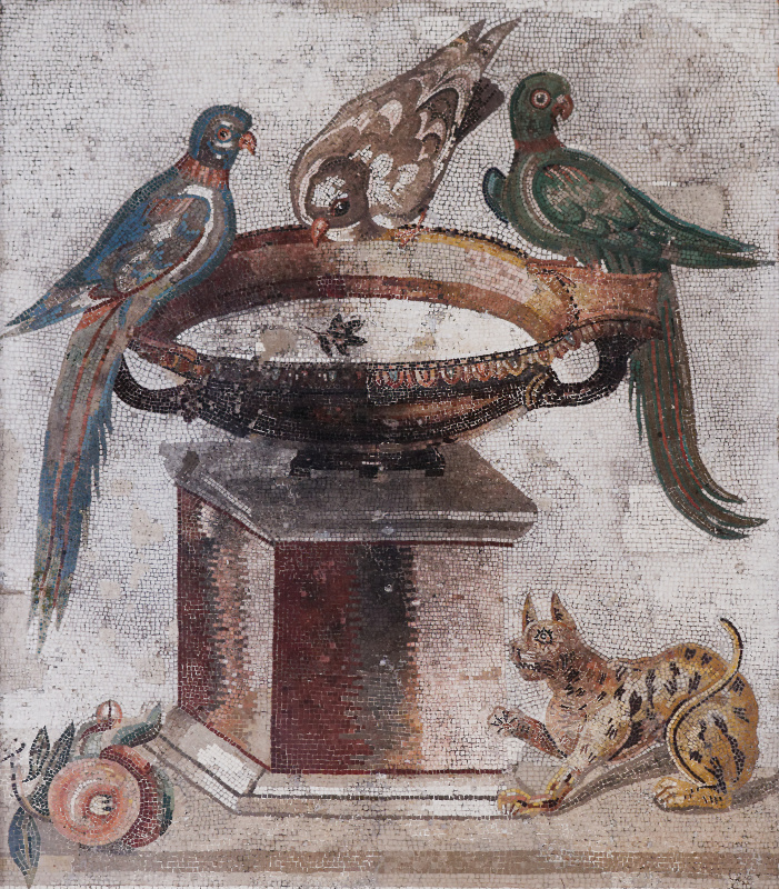 In Roman and Greek painting, the images of cats could be found on coins, amphoras, beautiful mosaics In Roman and Greek painting, the images of cats could be found on coins, amphoras, beautiful mosaics