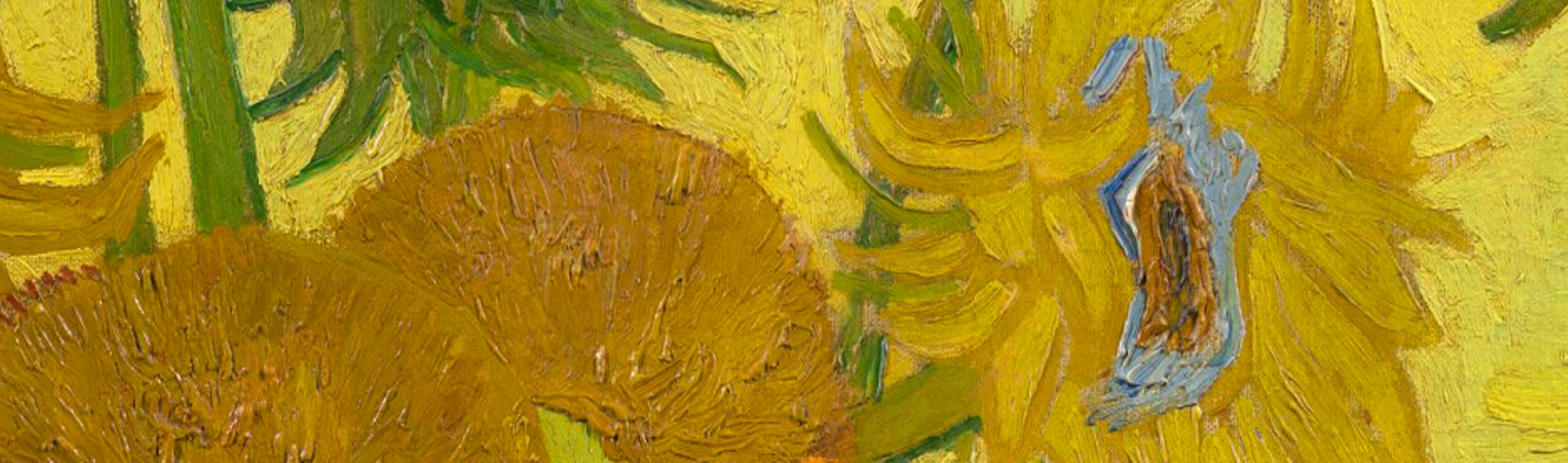 Van Gogh and Sunflowers: exhibition 21 June – 1 September, The