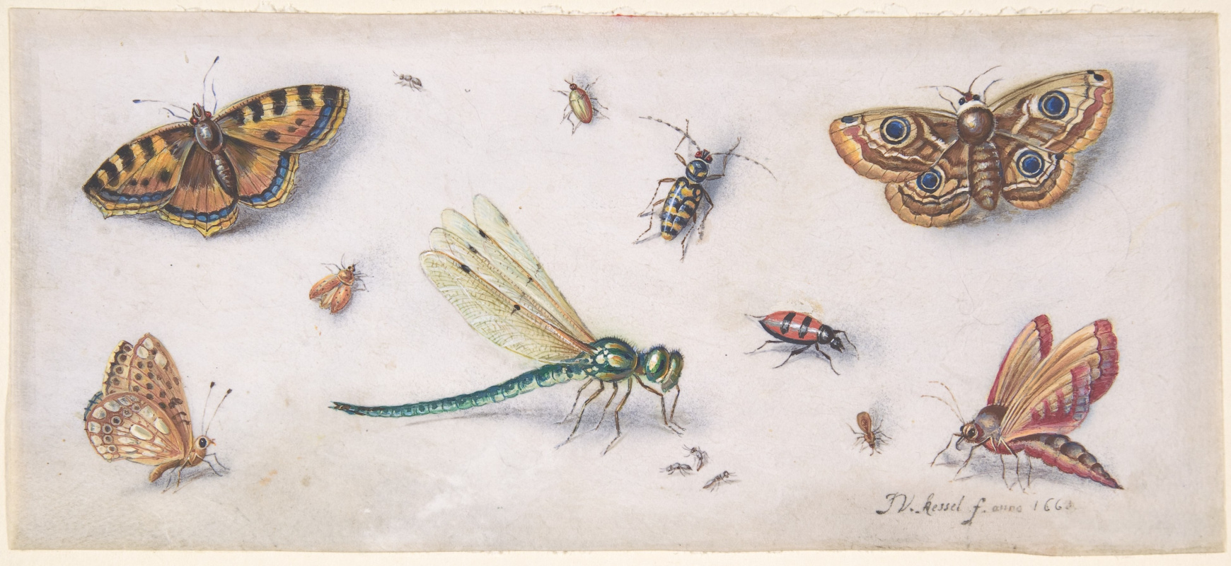 Изображения насекомых художниками