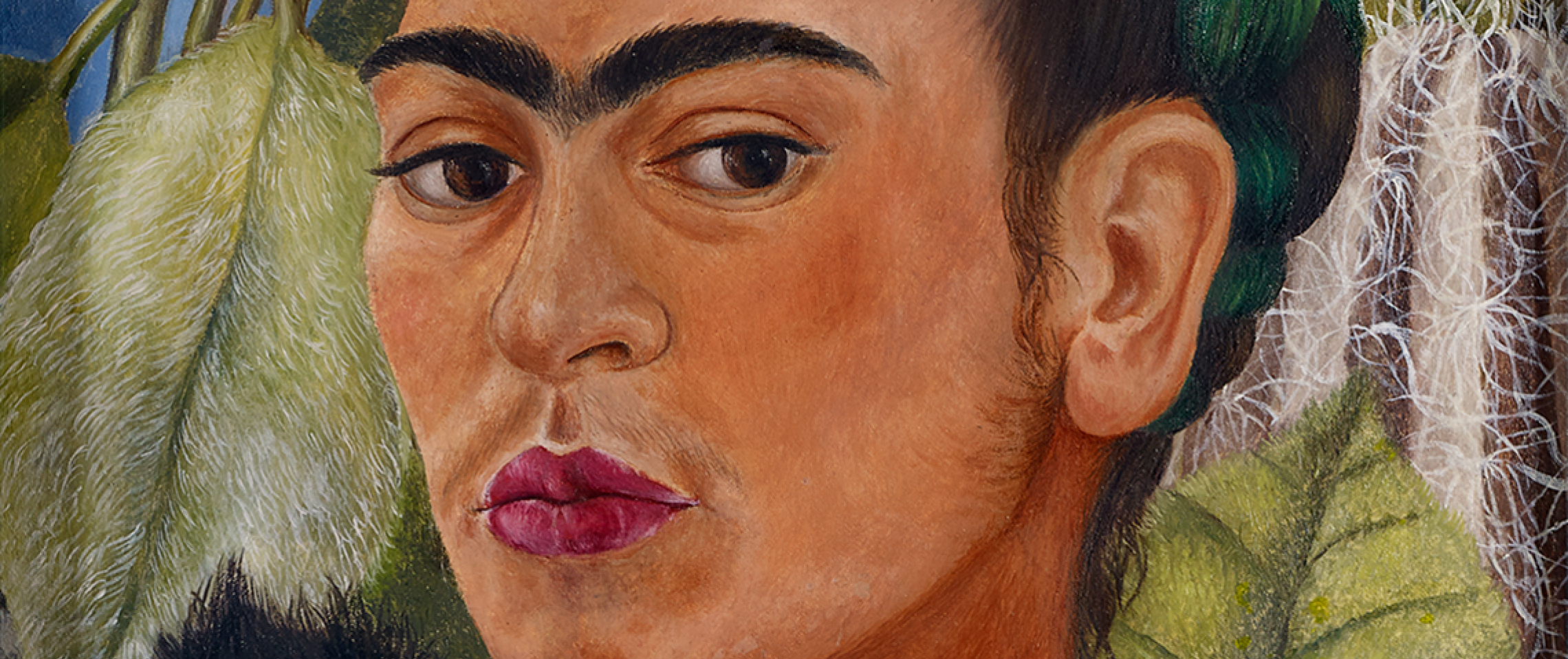 Frida Kahlo at The Dalí - Salvador Dalí Museum